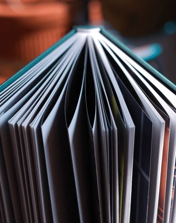 The book standing open, its pages fanned